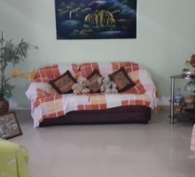 Ads Image